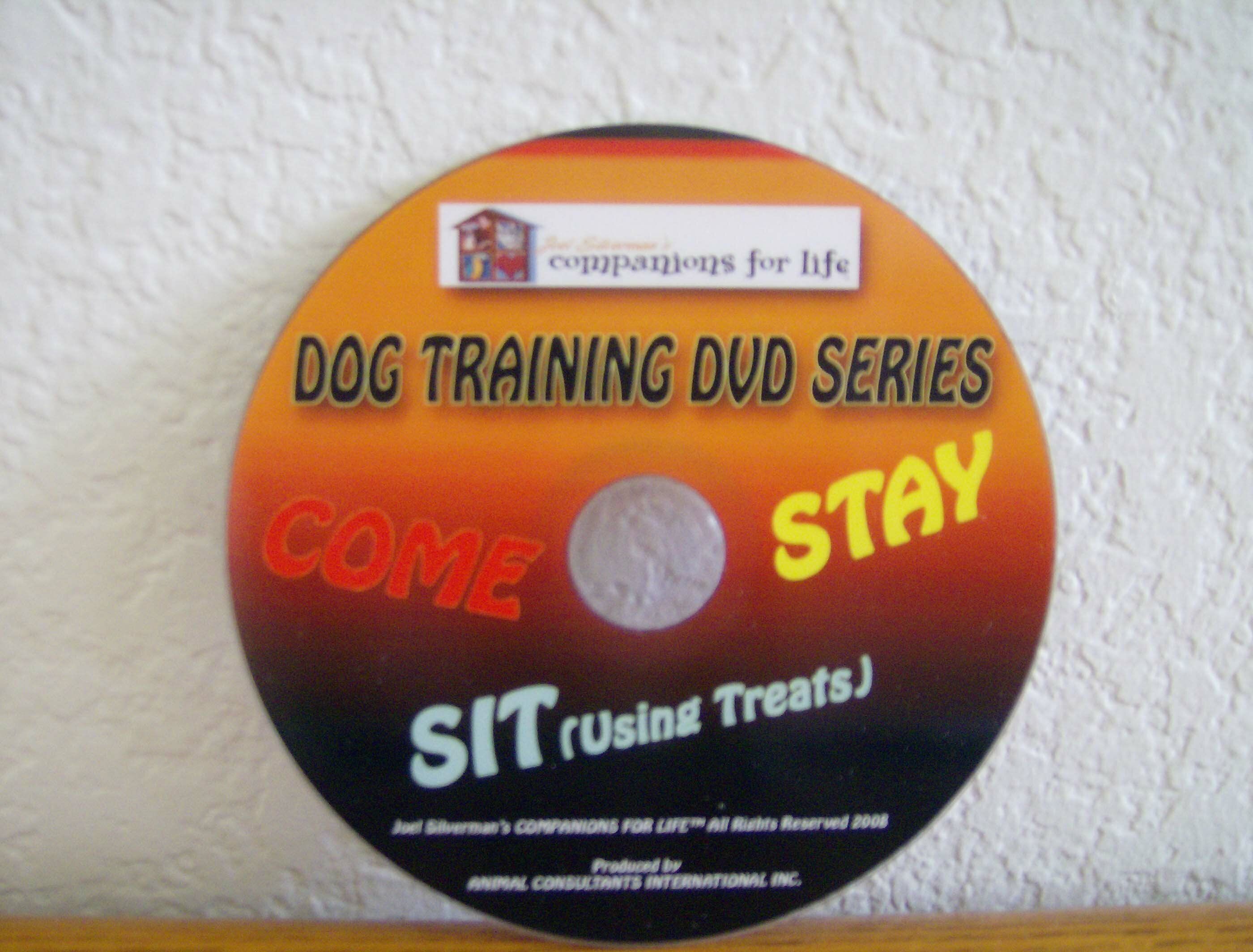 training your dog to sit and stay